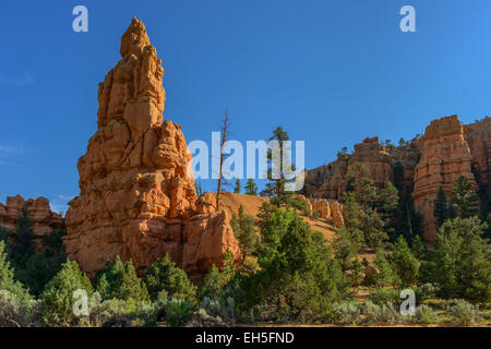 Red rock formazione in Cedar Breaks National Park nello Utah Foto Stock