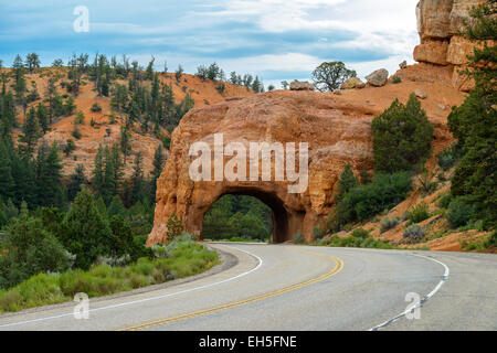 Red rock formazione in Cedar Breaks National Park nello Utah Foto Stock