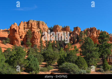 Red rock formazione in Cedar Breaks National Park nello Utah Foto Stock