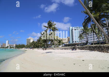 Gli alberghi e le palme in Guam - Marzo 2015 Foto Stock