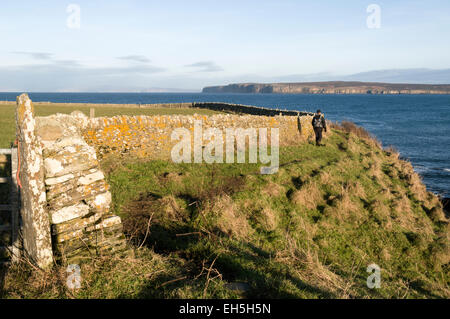 Un viandante sulla passeggiata costiera da Castletown a Thurso, Caithness in Scozia, Regno Unito. Dunnett in testa la distanza. Foto Stock