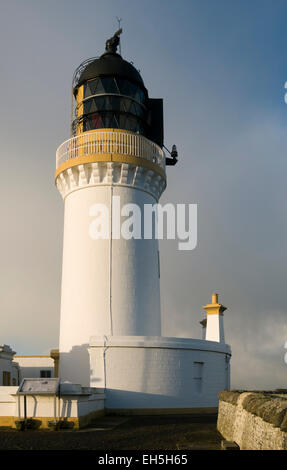 Noss Capo Faro, vicino a Wick, Caithness in Scozia, Regno Unito. Foto Stock