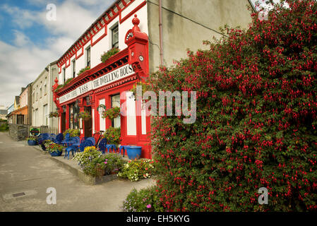 Coffee House/pub, con fiori fuchia. Knightstown,Valentia isola,Repubblica di Irlanda Foto Stock