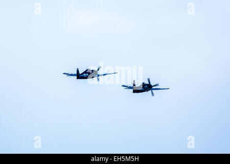 Grumman F4F E F6F aeroplani decollare al 2011 Ali sopra Camarillo Air Show in Camarillo California Foto Stock