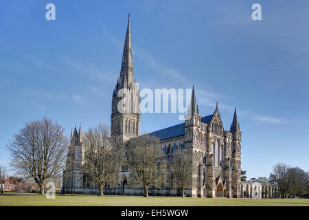 La Diocesi di Salisbury Cathedral con figure illustranti il chiostro, West End, porta nord, transetto & Guglia Foto Stock