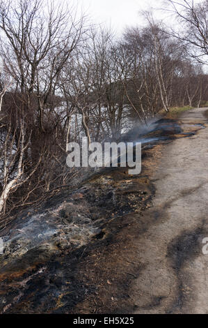 La metropolitana incendio danneggi il sentiero adiacente al fiume Tyne vicino a Clara Vale, North East England, Regno Unito Foto Stock