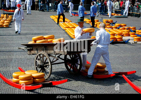 Gli uomini di formaggio di caricamento tornate sul carrello, il mercato del formaggio di Alkmaar, Paesi Bassi Foto Stock