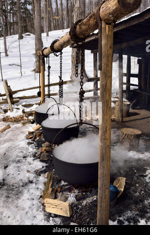 Tre in ghisa pentole evaporatore all'aperto oltre ad aprire il fuoco per produrre lo sciroppo d'acero in una baracca di zucchero in una coperta di neve forest Ontario Canada Foto Stock