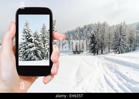 Concetto di viaggio - turistica prendendo foto di snowbound abeti vicino alla pista da sci nel comprensorio sciistico Via Lattea (Via Lattea), Sestriere, Ital Foto Stock