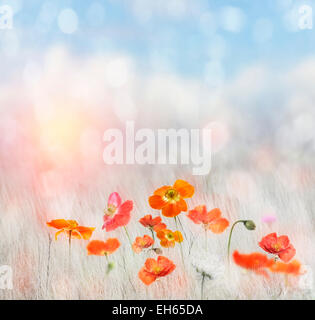 La pittura digitale di fiori di papavero Foto Stock