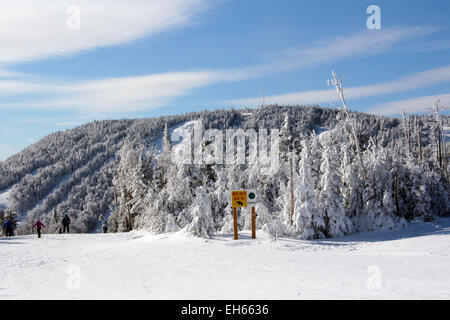 Il vertice di Gore Mountain Foto Stock