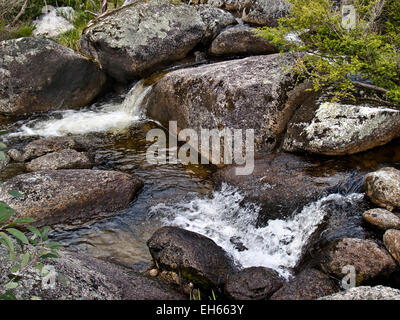 Australia: Mountain Creek, montagne innevate, NSW Foto Stock