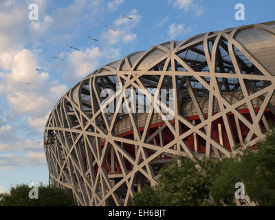 Birdsnest a Pechino, Cina, Stadio Olimpico Foto Stock