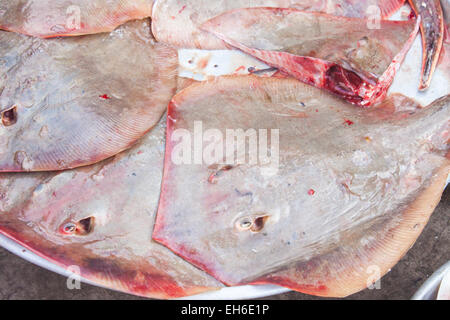 Un sacco di passera di mare Pleuronettiformi, in corrispondenza di un mercato Foto Stock