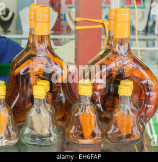 Bottiglie di serpente o scorpion vino a Phu Quoc, Vietnam Foto Stock