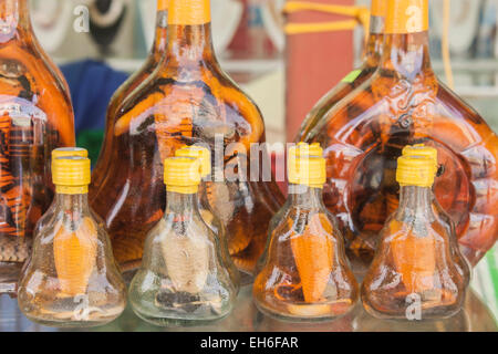 Bottiglie di serpente o scorpion vino a Phu Quoc, Vietnam Foto Stock