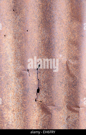 Il vecchio muro di zinco per lo sfondo. Foto Stock