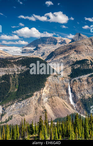 Le Cascate di Takakkaw sotto Waputik Icefield, da Iceline Trail, Canadian Rockies, Parco Nazionale di Yoho, British Columbia, Canada Foto Stock