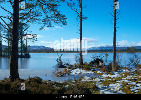 Congelati Loch Mallachie in inverno, Cairngorms National Park, Scotland, Regno Unito Foto Stock