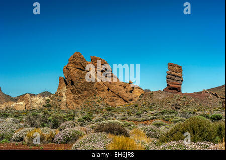 Isole Canarie, Tenerife, vulcano Teide. Paesaggio lunare di rocce laviche di diversi colori . Rock il dito di Dio . Foto Stock