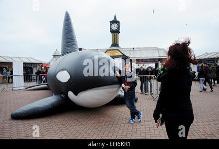 Brighton, Regno Unito. 8 Marzo, 2015. Una balena gonfiabile provoca interesse dal Molo di Brighton oggi che è parte di questo anni WhaleFest e si svolge in Brighton questa settimana ed è il più grande del mondo di balene e delfini di credito del Festival: Simon Dack/Alamy Live News Foto Stock