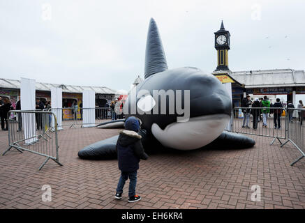 Brighton, Regno Unito. 8 Marzo, 2015. Una balena gonfiabile provoca interesse dal Molo di Brighton oggi che è parte di questo anni WhaleFest e si svolge in Brighton questa settimana ed è il più grande del mondo di balene e delfini di credito del Festival: Simon Dack/Alamy Live News Foto Stock