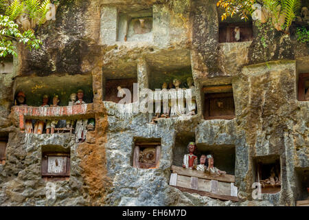 Aperture di tombe in pietra e effigi in legno su una scogliera in un tradizionale luogo di sepoltura a Lemo, Nord Toraja, Sud Sulawesi, Indonesia. Foto Stock