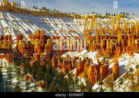 Bryce Canyon in inverno con la neve sul hoodoos, Utah, Stati Uniti. Foto Stock