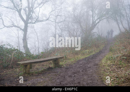 A piedi il sentiero di pietra arenaria in Peckforton Hills Foto Stock