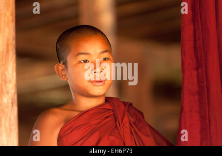 Testa e spalle ritratto di una giovane monaco buddista, Lago Inle, Myanmar ( Birmania ), Asia Foto Stock