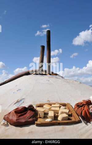 Il Deserto del Gobi, famiglia nomade, Formaggio di essiccazione su Ger/Yurt Foto Stock