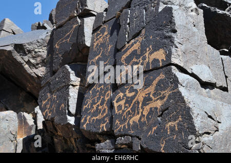 Bayangiin Nuruu petroglifi deserto dei Gobi Foto Stock