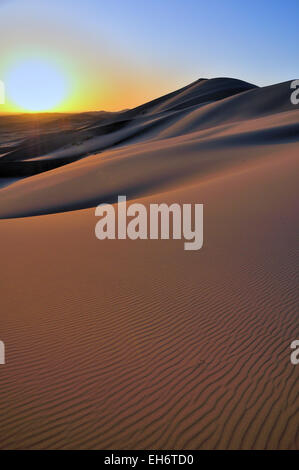 Khongoryn Els dune di sabbia al tramonto, nel deserto del Gobi Foto Stock