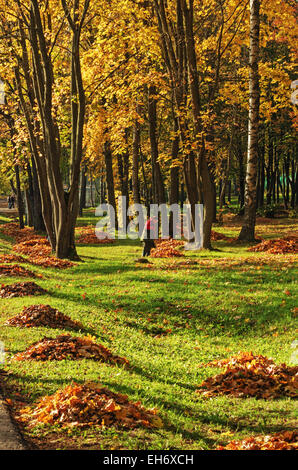 Il lavoratore pulisce la caduta foglie di autunno park. Foto Stock