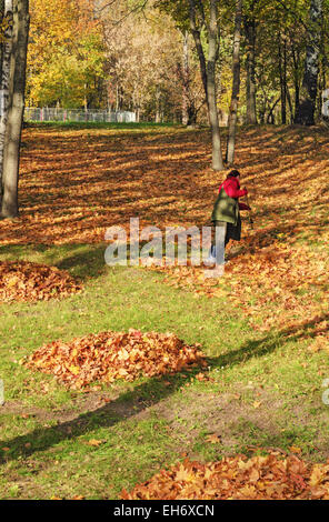 Il lavoratore pulisce la caduta foglie di autunno park. Foto Stock