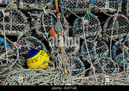 POT di aragosta Foto Stock