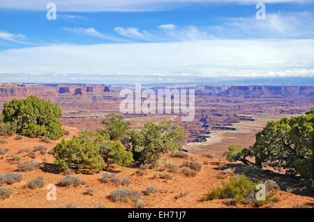 Red Rock Landscape southwest USA, Las Vegas, Nevada Foto Stock