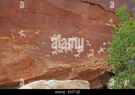 Red Rock Landscape southwest USA, Las Vegas, Nevada Foto Stock