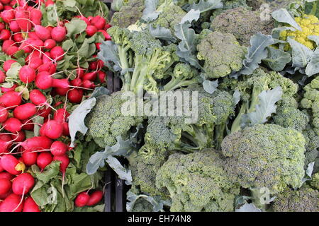 Broccoli e ravanelli al mercato Foto Stock