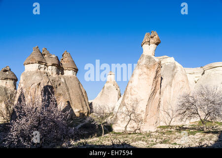 Iconico, stranamente sagomate e tappate fata camino geologico formazioni di roccia nei pressi di Goreme, Cappadocia, Turchia Foto Stock