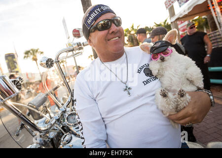 Daytona Beach, FL, Stati Uniti d'America. 8 Mar, 2015. Un ciclista siede con il suo barboncino vestito in un Harley hat e bicchieri al fianco di strada principale durante la 74Daytona annuale Settimana in Bici Marzo 8, 2015 in Daytona Beach, Florida. Più di 500.000 ciclisti e spettatori si riuniscono per la settimana lunga manifestazione, il più grande raduno motociclistico in America. Credito: Richard Ellis/ZUMA filo/Alamy Live News Foto Stock