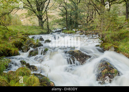 Gairland bruciare vicino al Loch Trool in una parte del Galloway Forest Park, Scotland, Regno Unito, Europa Foto Stock