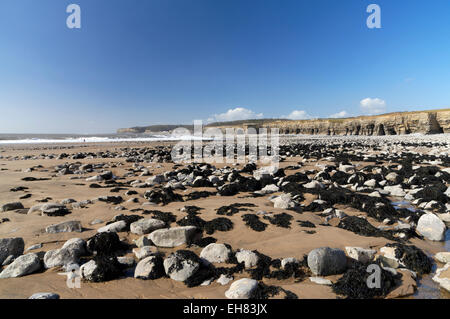 Col Huw Bay, Llantwit Major, Glamorgan Heritage Costa, Vale of Glamorgan, South Wales, Regno Unito. Foto Stock