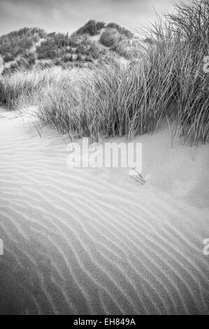 Increspature su una duna di sabbia in Cornovaglia, Inghilterra. Convertito in bianco e nero. Texture di erbe di dune. Foto Stock