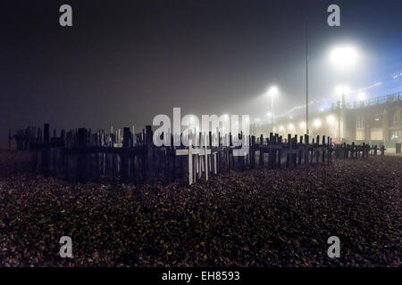 Brighton, East Sussex, Regno Unito. 8 Marzo, 2015. Memorial attraversa di notte di nebbia sulla spiaggia di Brighton piantati per commemorare tutti i cetacei che sono morti in prigionia. Photo credit: Julia Claxton/Alamy Live News Foto Stock