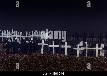 Brighton, East Sussex, Regno Unito. 8 Marzo, 2015. Memorial attraversa di notte di nebbia sulla spiaggia di Brighton piantati per commemorare tutti i cetacei che sono morti in prigionia. Photo credit: Julia Claxton/Alamy Live News Foto Stock