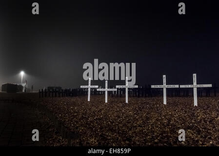 Brighton, East Sussex, Regno Unito. 8 Marzo, 2015. Memorial attraversa di notte di nebbia sulla spiaggia di Brighton piantati per commemorare tutti i cetacei che sono morti in prigionia. Photo credit: Julia Claxton/Alamy Live News Foto Stock