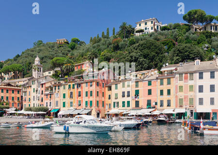 Portofino Riviera di Levante, Provincia Genova, Liguria, Italia, Europa Foto Stock