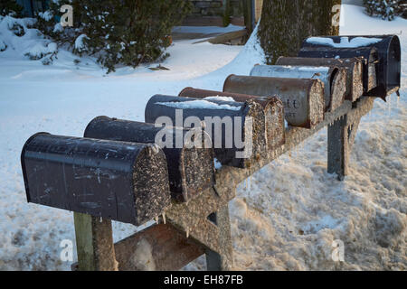 Americano di cassette postali rurali nella neve, Quarryville, PA Foto Stock