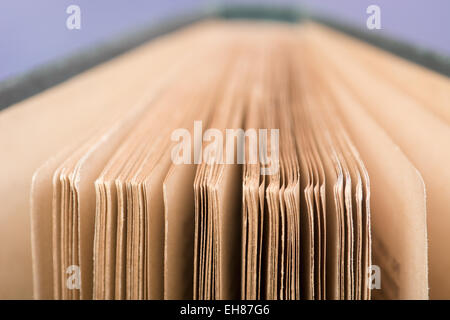 Dettaglio delle pagine di un vecchio libro Foto Stock